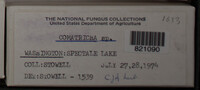 Image Associated With the Occurence